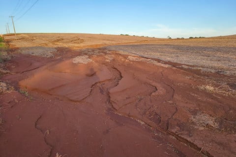 Diagnóstico aponta baixo manejo do solo em áreas de grãos no RS