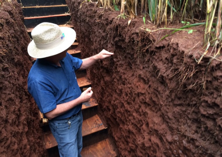 Em trincheira, pesquisador José Denardin mostra camada compactada do solo que limita o aprofundamento das raízes, reduzindo o acesso das plantas à água e aos nutrientes disponíveis em profundidade