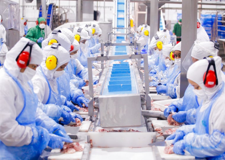 Acionistas da Vibra Foods avaliam que a avicultura continua em posição de destaque no cenário mundial
