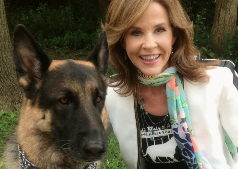 Linda Blair &eacute; respons&aacute;vel por organiza&ccedil;&atilde;o dedicada ao resgate de animais
