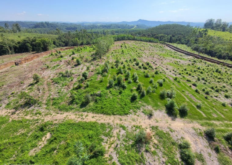 Terreno em São Sebastião do Caí já começou a ser preparado para instalação do canteiro de obras