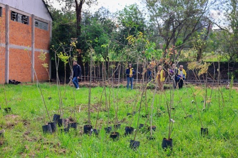 Foi realizado o plantio de 200 mudas de 15 espécies frutíferas e não frutíferas
