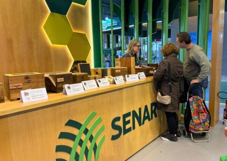 Atividade aconteceu no Pavilh&atilde;o Internacional e reuniu 11 esp&eacute;cies diferentes de abelhas sem ferr&atilde;o