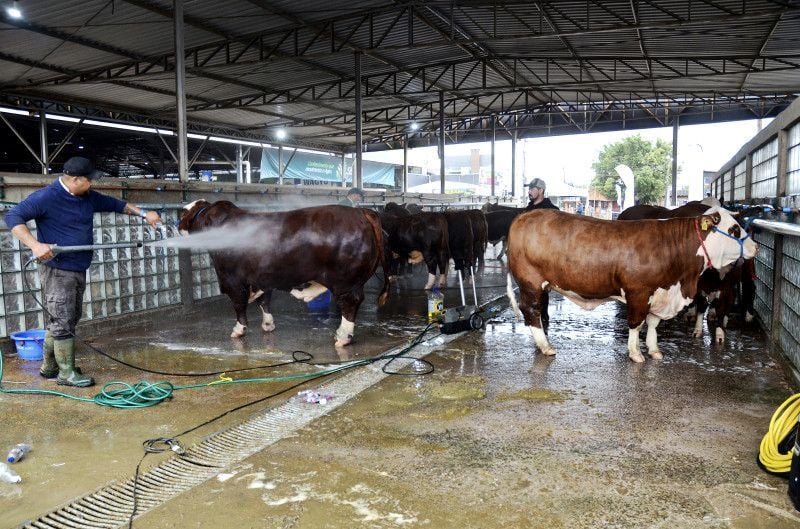 Rotina de manejo com os animais no Parque começa cedo
