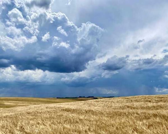 Dados sobre chuva, temperatura e condições atmosféricas ajudam a definir o momento adequado para diferentes operações e atividades produtivas