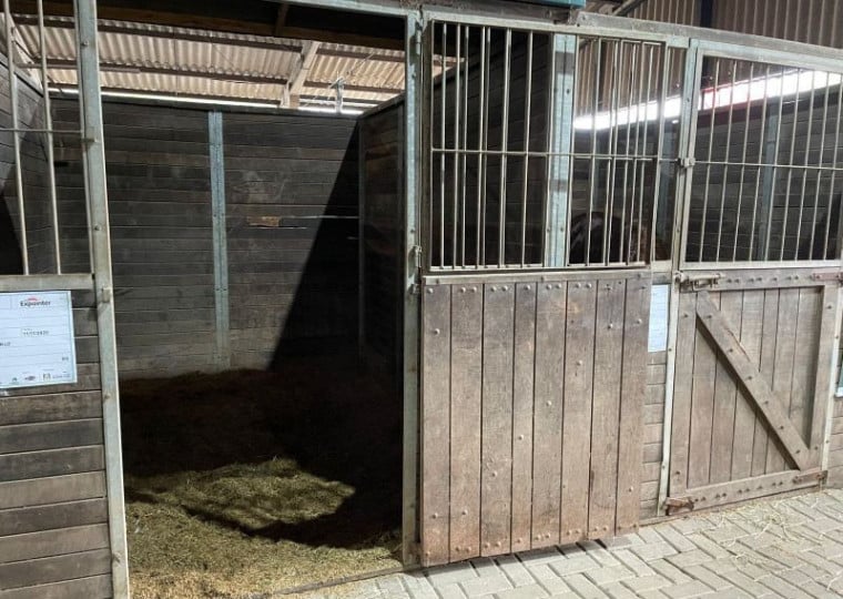 Corpo do cavalo que morreu na Expointer foi encaminhado para necropsia na Ufrgs