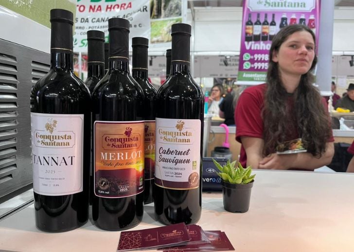Para Tailaine Cupsinski, de Santana do Livramento, esfor&ccedil;o vale a pena pela exposi&ccedil;&atilde;o | L&iacute;via Ara&uacute;jo/Especial/Cidades