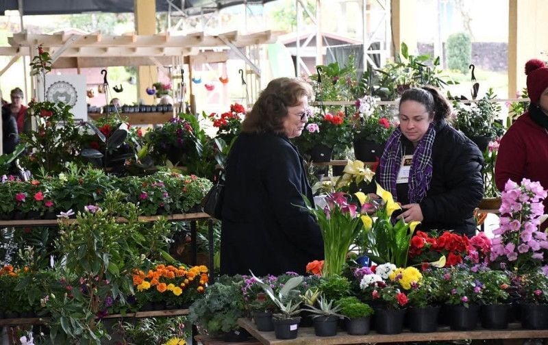 Feira acontece nos dias 12 e 13 de setembro, com venda de flores, mudas de plantas e artesanato | Prefeitura de Picada Caf&eacute;/Divulga&ccedil;&atilde;o/Cidades