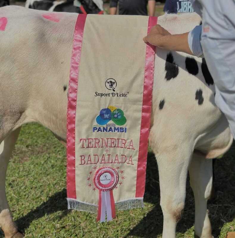 Feira reunir&aacute; mais de 90 expositores, incluindo 51 agroind&uacute;strias familiares, 40 artes&atilde;os e feira de flores | Instagram Fecol&ocirc;nia/Reprodu&ccedil;&atilde;o/Cidades