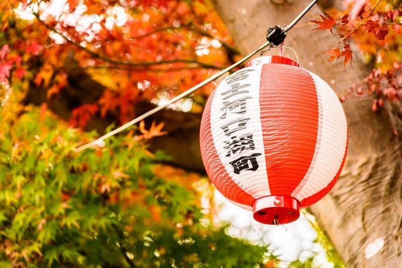 Feira ocupar&aacute; a Rua Dr. Montaury com apresenta&ccedil;&otilde;es do tambor japon&ecirc;s, dan&ccedil;as folcl&oacute;ricas e oficinas de artes orientais | FreePik/Reprodu&ccedil;&atilde;o/Cidades
