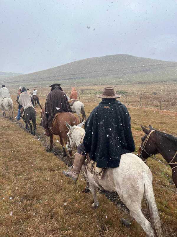 Ar polar trouxe neve a São José dos Ausentes, nos Campos de Cima da Serra, neste fim de semana | ALEXANDRE PEREIRA/FAZENDA MONTE NEGRO/DIVULGAÇÃO/JC