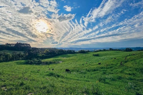 A paz do campo no interior de Guaporé