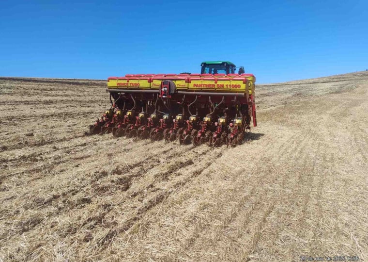 Sojá poderá começar a ser semeada nesta terça-feira por agricultores autorizados pela Secretaria Estadual da Agricultura