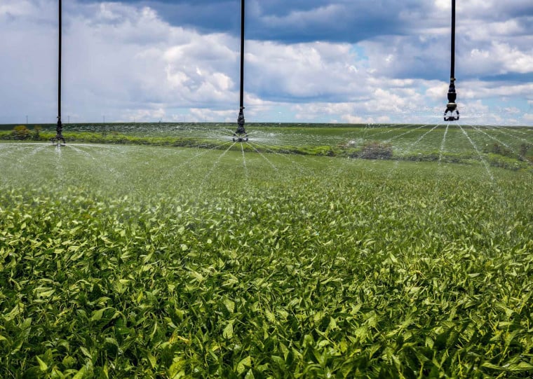 Expansão dos sistemas de irrigação registrou alta de 89,3% entre 2020 e 2026 no Estado