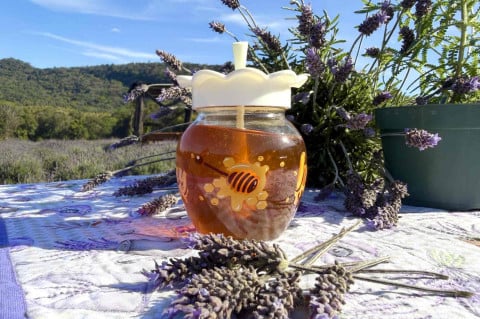 Mel feito com lavanda será lançado em evento de Morro Reuter