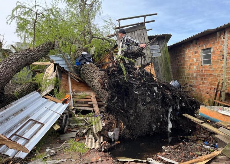 Mais de 527 mil pessoas foram afetadas pelo temporal que teve queda de árvores e destelhamento de casas