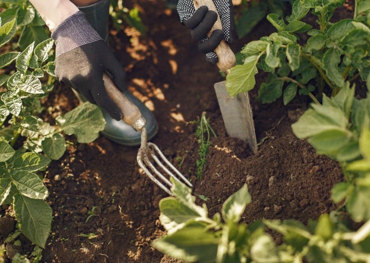 Jardinagem est&aacute; entre as atividades que podem ser exercidas por trabalhadores enquadrados como nanoempreendedores