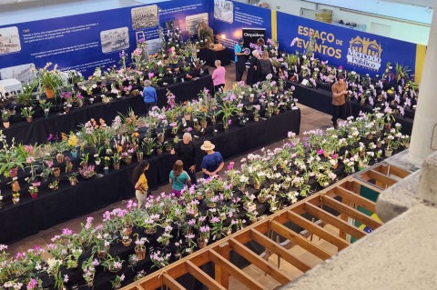 Jardim no Mercado Público de Porto Alegre