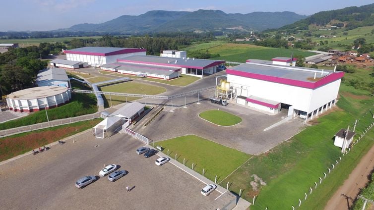 Planta de Arroio do Meio abate 50 mil frangos por dia e deve começar a exportar para a China até o fim de outubro