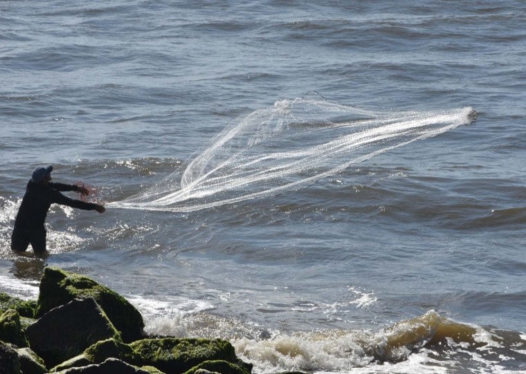 Objetivo é propor ao profissional que utilize a estrutura para manuseio e, em troca, deixe 10% da pesca total como pagamento