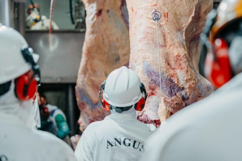 Concurso de Carcaça Angus tem prêmio inédito e chega a sete estados até o fim do ano