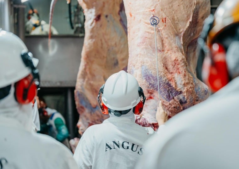 No Estado, concurso passará por frigoríficos em Santa Maria e Alegrete