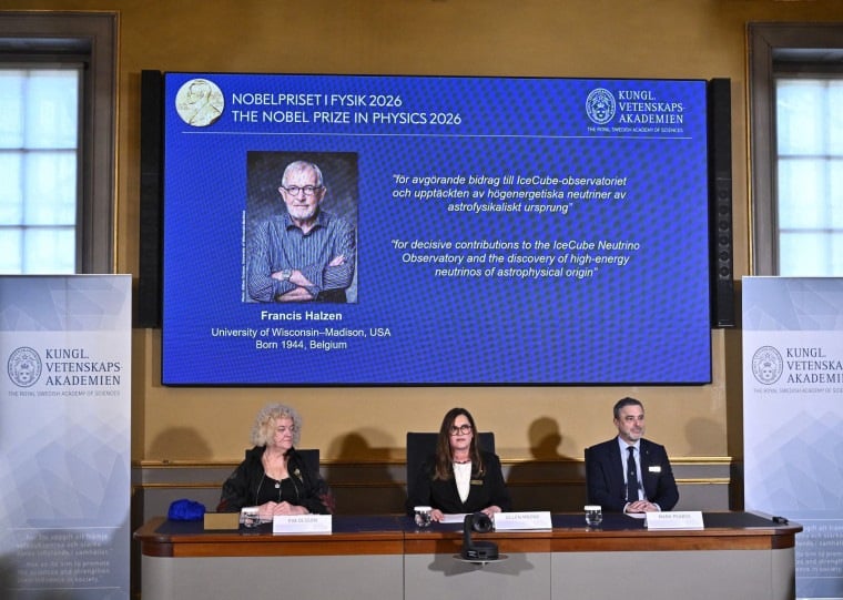 Físico belga Francis Halzen, 82, foi premiado por suas contribuições na detecção de neutrinos