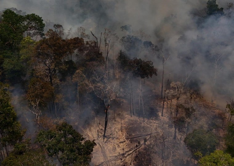 Governo do Amazonas decretou situação de emergência em 36 municípios do estado por conta dos incêndios florestais