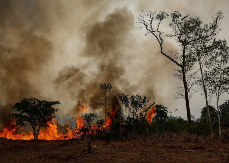 Foram extintos 236 incêndios no Amazonas, Ibama segue atuando para combater outros 22 focos ativos 
