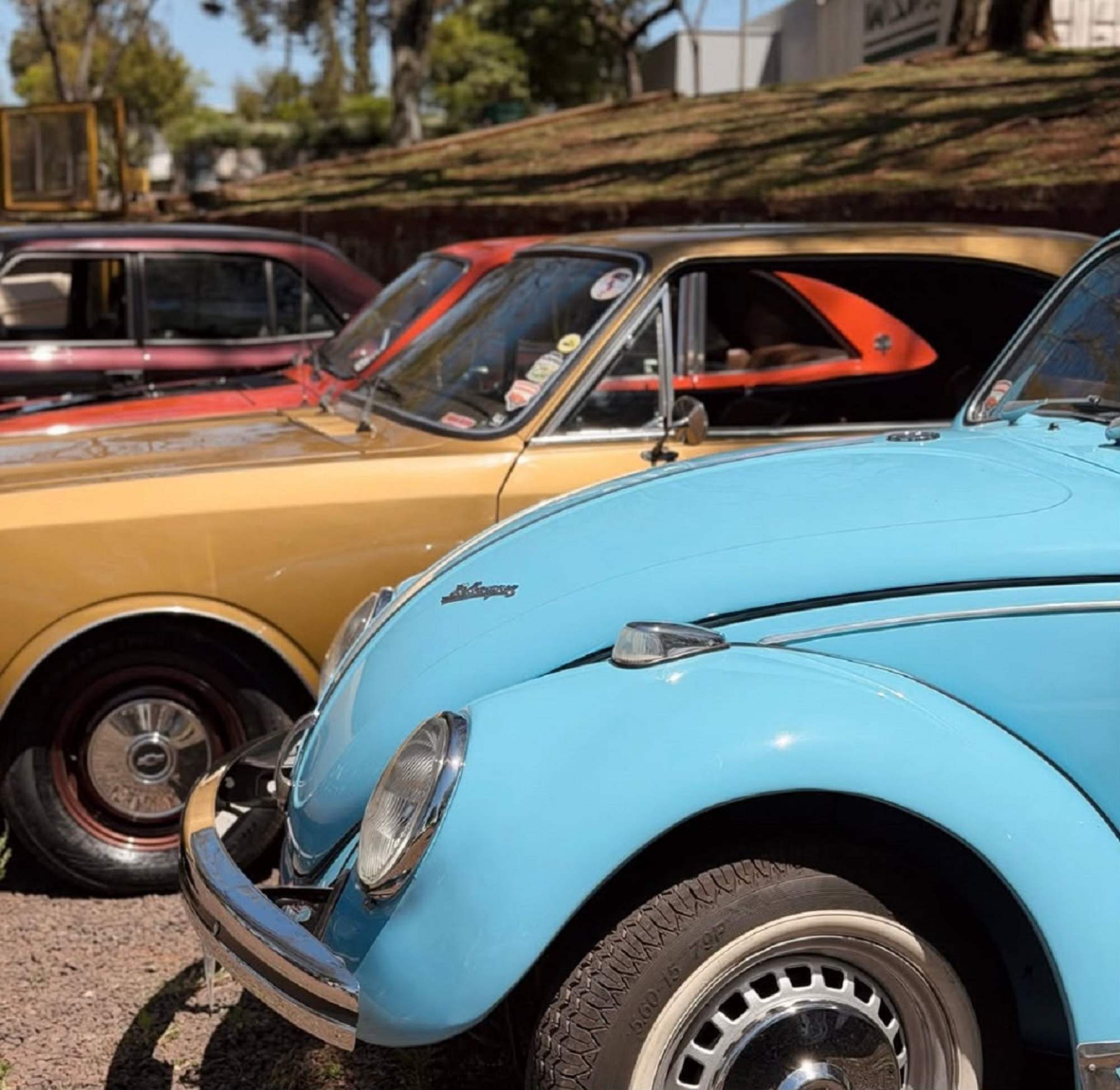 Evento tem entrda gratuita para visitantes e, além de exposição de veículos, conta com passeio de mini fusca | Clássicos de Planalto/Reprodução/Cidades