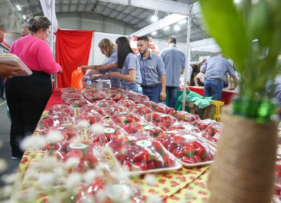 Com entrada gratuita, a feira acontece no Ginásio Municipal de Agudo.  | Prefeitura de Agudo/Divulgação/Cidades