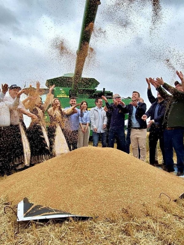 Cruz Alta sedia abertura da colheita do trigo e destaca a força da triticultura gaúcha