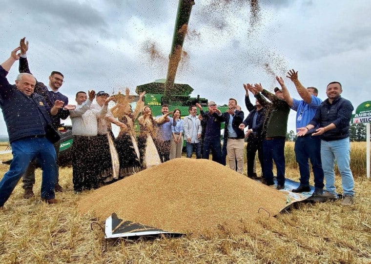 No evento, produção estadual foi projetada em 2,2 milhões de toneladas