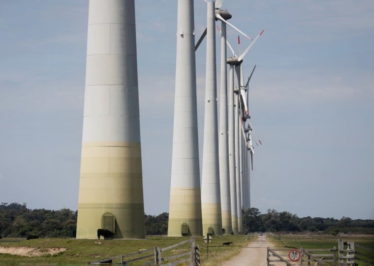 Empreendimento em Santa Vitória do Palmar terá 440 MW de potência instalada em duas etapas; obras devem começar em 2027