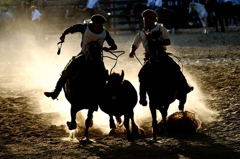 Atividades como competições e leilões serão realizadas em Esteio 