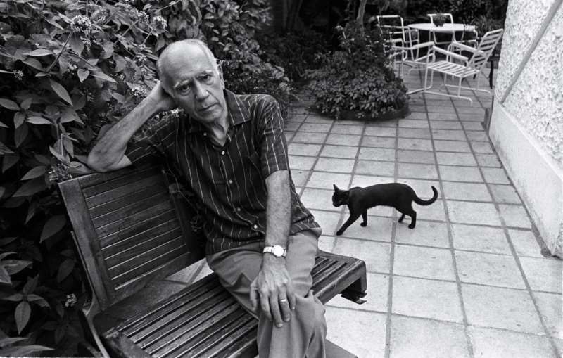 Ligação com Erico Verissimo fez Flávio assumir conclusão de Solo de Clarineta