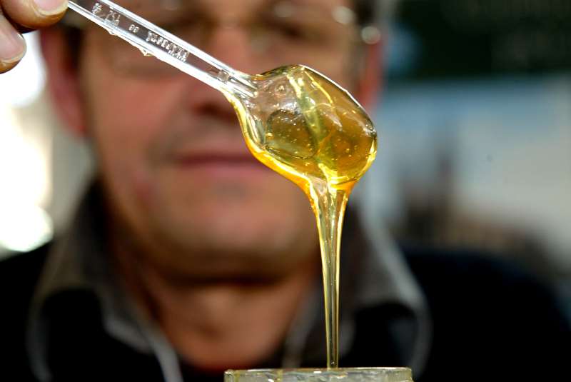 Embarques internacionais de mel são destaque na pauta alternativa, sobretudo aos Estados Unidos