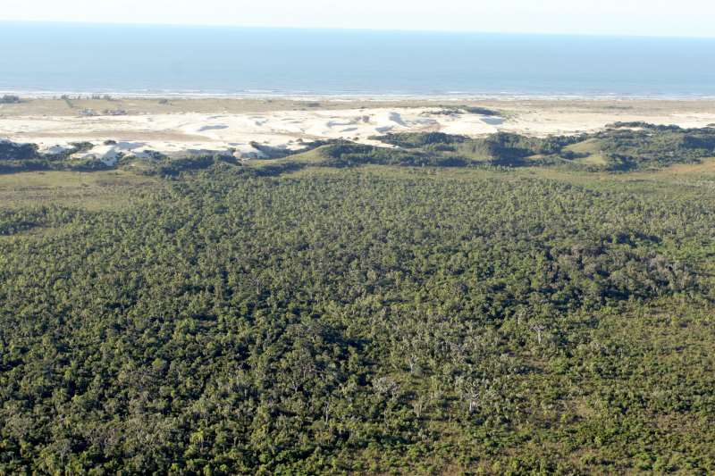 Parque Estadual de Itapeva, em Torres, é um dos pontos com o bioma no Estado