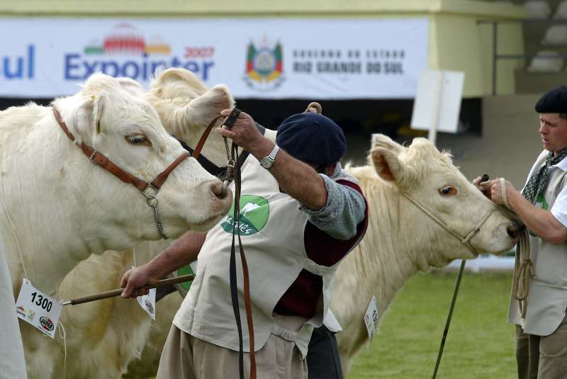Julgamento de raças deve ser feito apenas com a presença de criadores e jurados