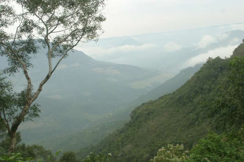 No Estado, florestas nacionais de Canela e São Francisco de Paula foram incluídas para exploração turística 