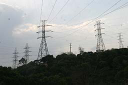 Entidades distribuem eletricidade no meio rural e em áreas urbanas