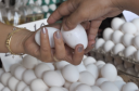 Para nutricionista, produtos que contenham zinco, como ovos, leite e carnes vermelhas, fazem a diferença