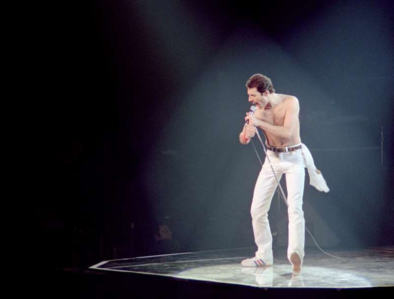 Vocalista da banda Queen, Freddie Mercury foi uma das figuras mais superlativas da história do rock