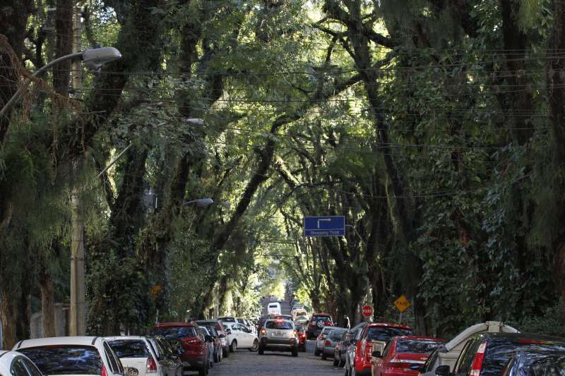 {'nm_midia_inter_thumb1':'https://www.jornaldocomercio.com/_midias/jpg/Imagens6/Thumbnail_128x128/F_0000930600.JPG', 'id_midia_tipo':'2', 'id_tetag_galer':'', 'id_midia':'F_0000930600.JPG', 'cd_midia':5930600, 'ds_midia_link': 'https://www.jornaldocomercio.com/_midias/jpg/Imagens6/F_0000930600.JPG', 'ds_midia': ' TÚNEL VERDE DA GONÇALO DE CARVALHO. RUA GONÇALO DE CARVALHO.', 'ds_midia_credi': 'MARCO QUINTANA/JC', 'ds_midia_titlo': ' TÚNEL VERDE DA GONÇALO DE CARVALHO. RUA GONÇALO DE CARVALHO.', 'cd_tetag': '1', 'cd_midia_w': '800', 'cd_midia_h': '533', 'align': 'Left'}