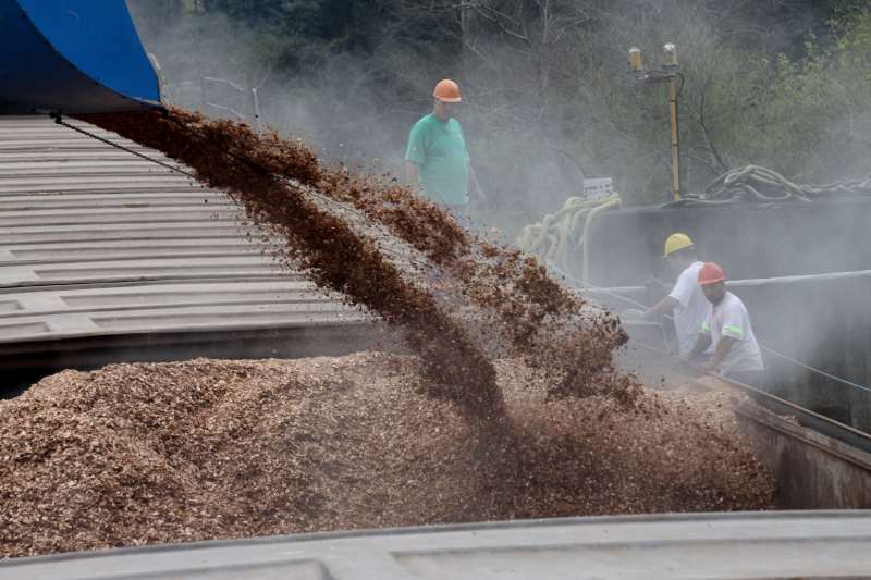 Estrutura utilizar� cavaco de madeira como combust�vel principal