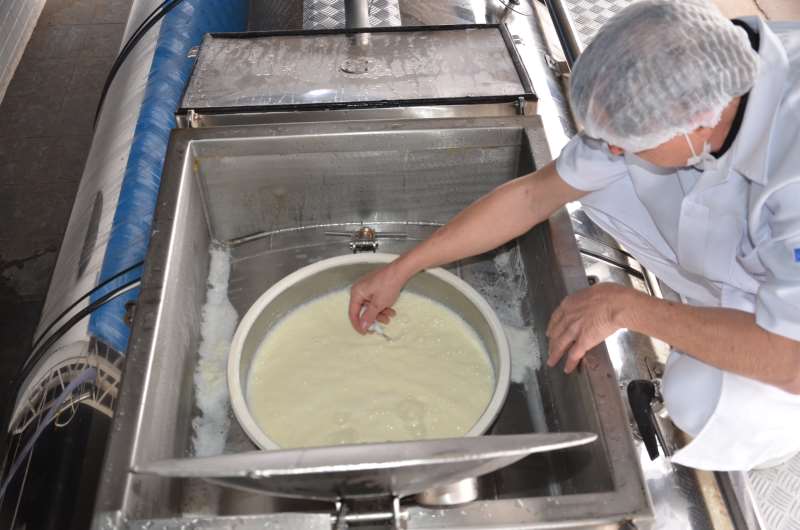 Operação Leite Compensado apreendeu diversos produtos derivados do leite que sofreram modificações