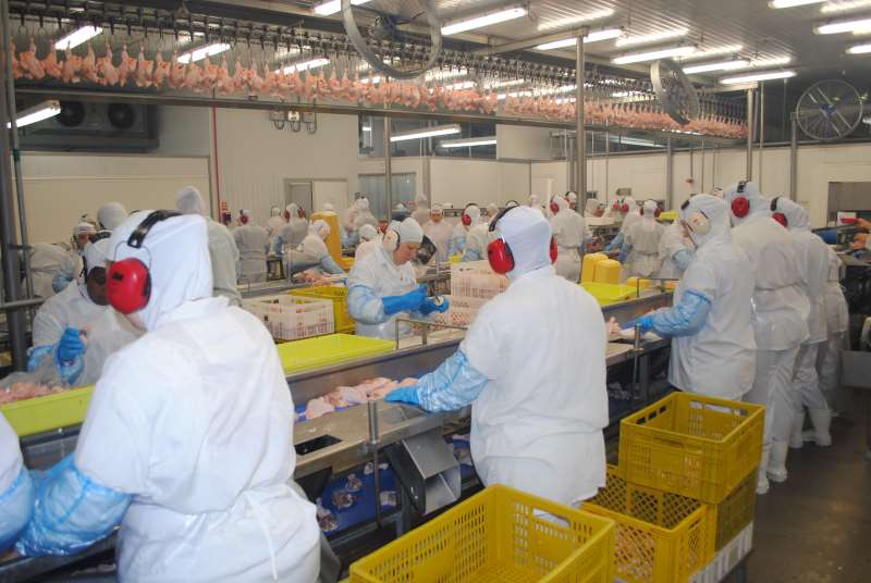 Frigoríficos adotarão medidas para conter disseminação da Covid-19 entre os colaboradores