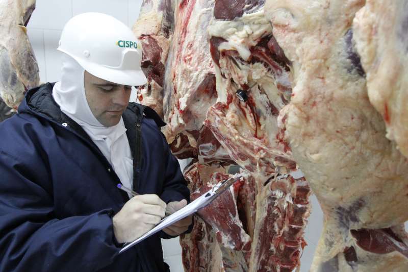 Vistorias podem ser feitas por veterinários terceirizados, não necessariamente por fiscais agropecuários