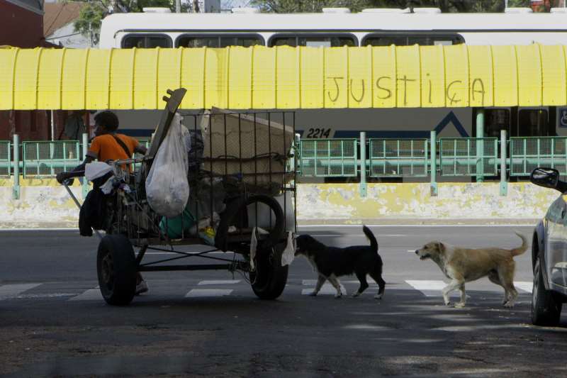Analfabetismo é quatro vezes maior entre os catadores do que no restante da população ocupada