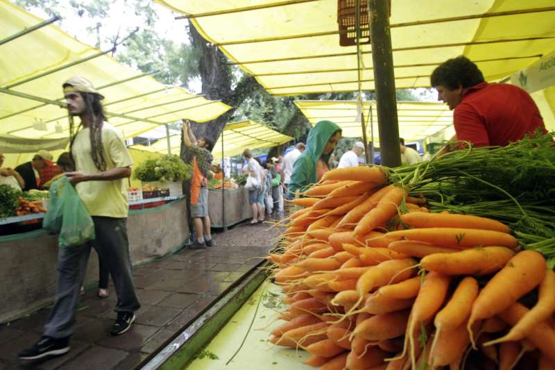 Agricultores familiares, divididos em 44 bancas, atendem entre 7h e 13h